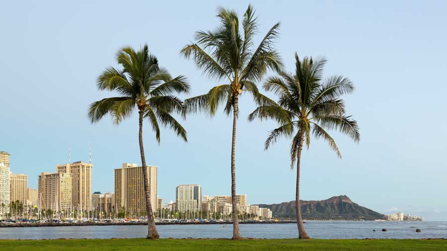 panorama of Waikiki Honolulu Hawaii