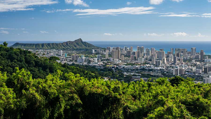 Waikiki and Honolulu from Tantalus