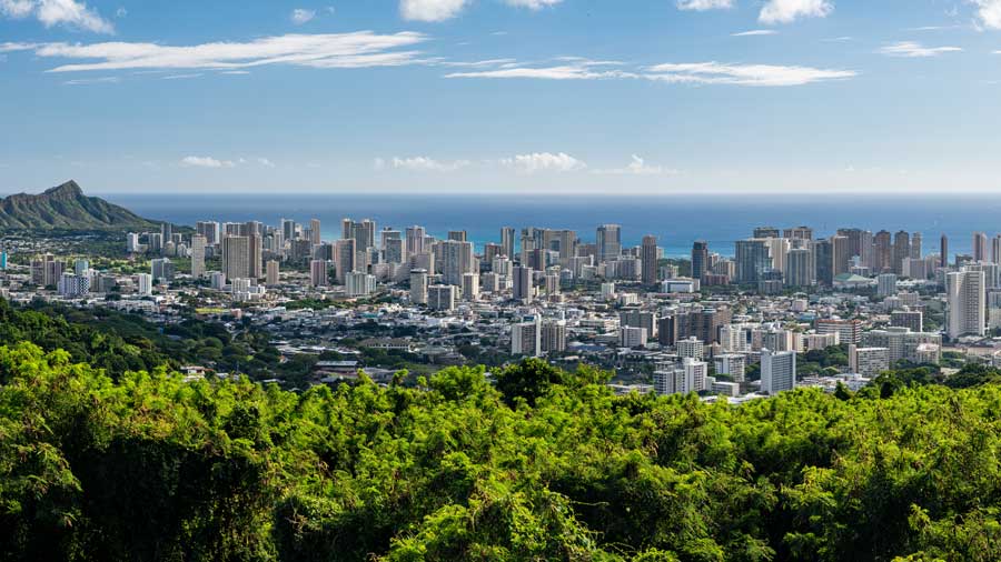 Waikiki and Honolulu from Tantalus