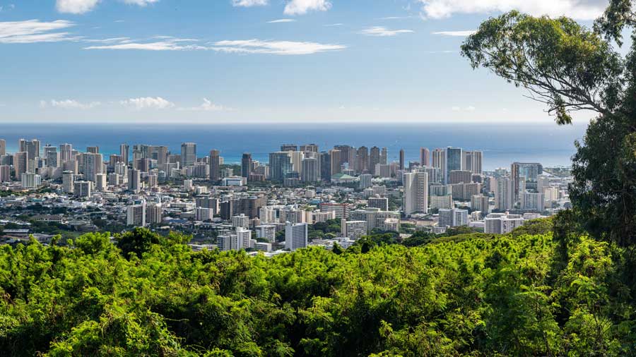 Waikiki and Honolulu from Tantalus