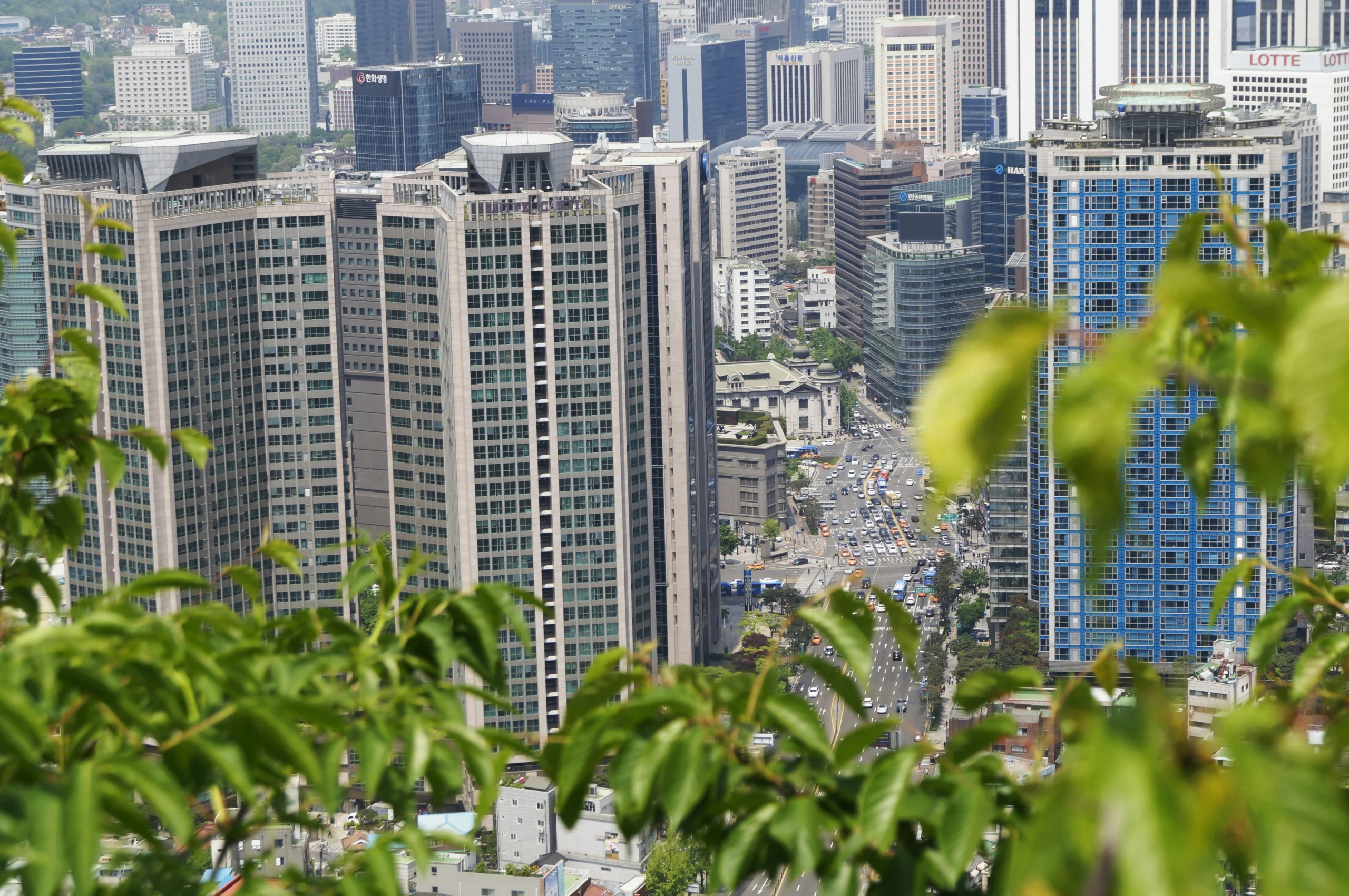Photo-of-dense-urban-high-rises-and-busy-city-streets-framed-by-green-leaves